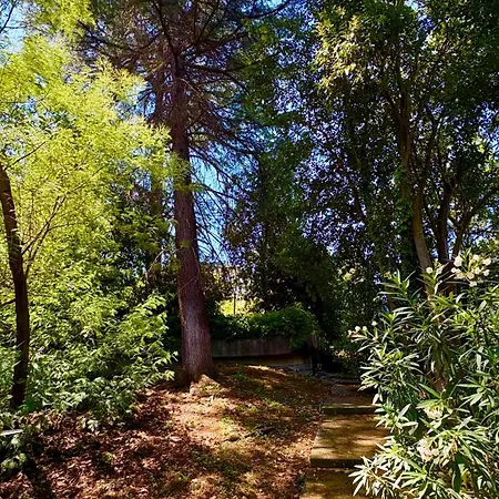 Vatican Walls Διαμέρισμα *