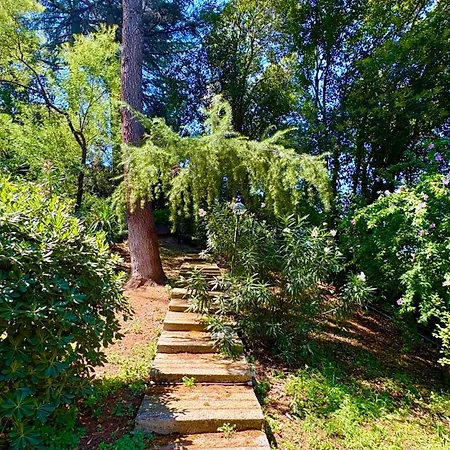 דירה Vatican Walls רומא