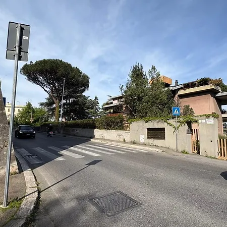 Vatican Walls Daire Roma